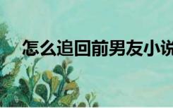 怎么追回前男友小说（怎么追回前男友）