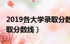 2019各大学录取分数线山东（2019各大学录取分数线）