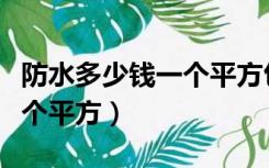 防水多少钱一个平方包工包料（防水多少钱一个平方）