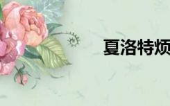 夏洛特烦恼王老师