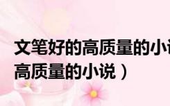 文笔好的高质量的小说推荐双男主（文笔好的高质量的小说）