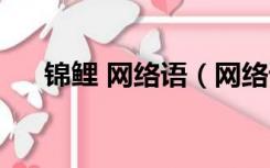 锦鲤 网络语（网络语锦鲤是什么意思）