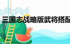 三国志战略版武将搭配（三国志战略版武将）