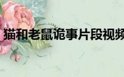 猫和老鼠诡事片段视频（猫和老鼠诡异事件）