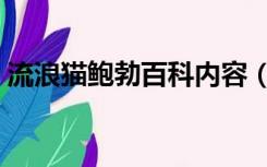 流浪猫鲍勃百科内容（流浪猫鲍勃百度网盘）