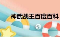 神武战王百度百科（神武战王笔趣阁）