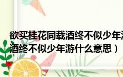欲买桂花同载酒终不似少年游什么意思英语（欲买桂花同载酒终不似少年游什么意思）