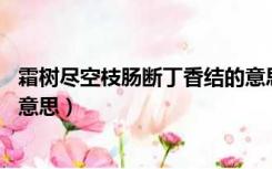 霜树尽空枝肠断丁香结的意思是（霜树尽空枝 肠断丁香结的意思）