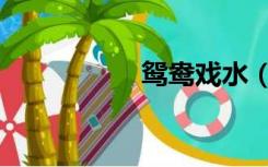 鸳鸯戏水（鸳鸯戏水）