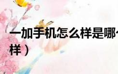 一加手机怎么样是哪个公司的（一加手机怎么样）