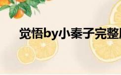 觉悟by小秦子完整版（觉悟by小秦子）