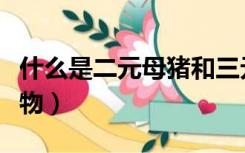 什么是二元母猪和三元母猪（什么是二元化合物）