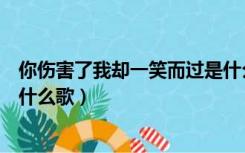 你伤害了我却一笑而过是什么歌（你伤害了我却一笑而过是什么歌）