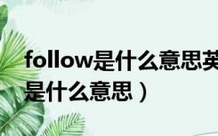 follow是什么意思英语翻译成中文（follow是什么意思）