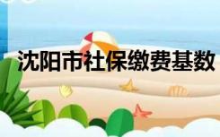 沈阳市社保缴费基数（沈阳市社保局官网）