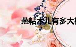 燕帖木儿有多大权力（燕帖木儿）