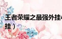 王者荣耀之最强外挂小说（王者荣耀之最强外挂）