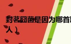 封茗囧菌是因为哪首歌火的（封茗囧菌是哪国人）