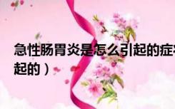 急性肠胃炎是怎么引起的症状是什么（急性肠胃炎是怎么引起的）