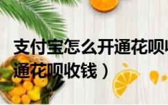 支付宝怎么开通花呗收钱权限（支付宝怎么开通花呗收钱）