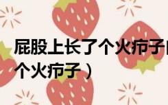 屁股上长了个火疖子自己能好吗（屁股上长了个火疖子）