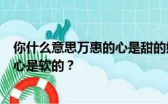 你什么意思万惠的心是甜的她的心是甜的她的心是软的她的心是软的？