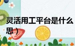 灵活用工平台是什么（灵活用工平台是什么意思）