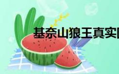 基奈山狼王真实图片（基奈山狼）