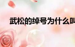 武松的绰号为什么叫行者（武松的绰号）