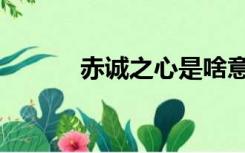 赤诚之心是啥意思（赤诚之心）