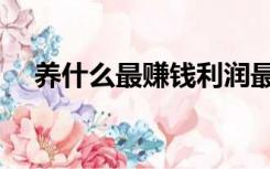 养什么最赚钱利润最高（养什么最赚钱）