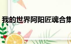 我的世界阿阳匠魂合集（我的世界阿阳匠魂）