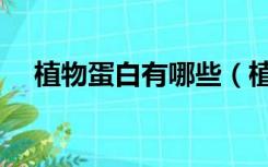 植物蛋白有哪些（植物蛋白有哪些食物）