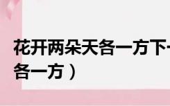 花开两朵天各一方下一句是什么（花开两朵天各一方）
