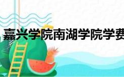 嘉兴学院南湖学院学费（嘉兴学院南湖学院）