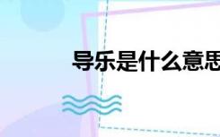 导乐是什么意思（导乐是什么）