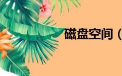 磁盘空间（磁盘空间）
