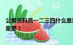 公务员科员一二三四什么意思啊（公务员科员一二三四什么意思）
