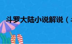 斗罗大陆小说解说（斗罗大陆小说百度云）