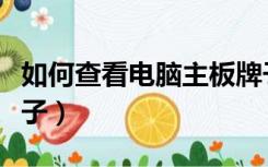 如何查看电脑主板牌子（如何查看电脑主板牌子）