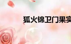 狐火锦卫门果实（狐火锦卫门）