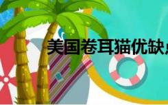 美国卷耳猫优缺点（美国卷耳猫）