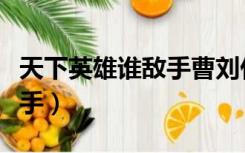 天下英雄谁敌手曹刘什么意思（天下英雄谁敌手）