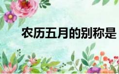 农历五月的别称是（农历五月的别称）