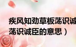 疾风知劲草板荡识诚臣解释（疾风知劲草 板荡识诚臣的意思）