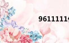 9611111什么电话？