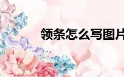 领条怎么写图片（领条怎么写）