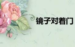 镜子对着门（镜子艾青）