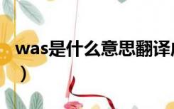 was是什么意思翻译成中文（was是什么意思）