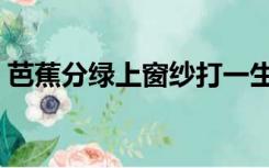 芭蕉分绿上窗纱打一生肖（芭蕉分绿上窗纱）